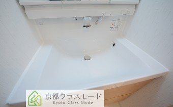 シャンプードレッサー