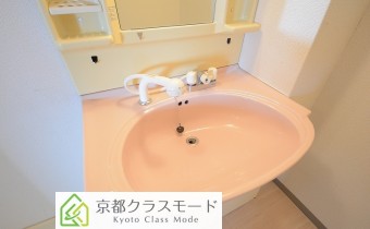シャンプードレッサー