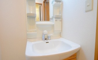 シャンプードレッサー