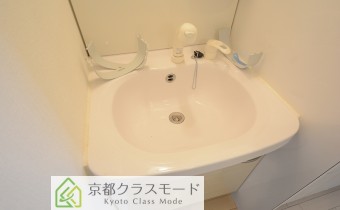 シャンプードレッサー