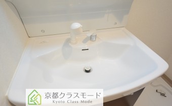 シャンプードレッサー