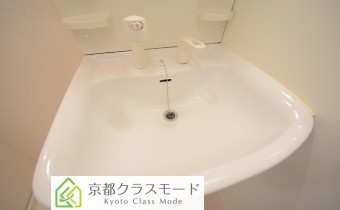シャンプードレッサー