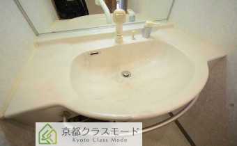 シャンプードレッサー