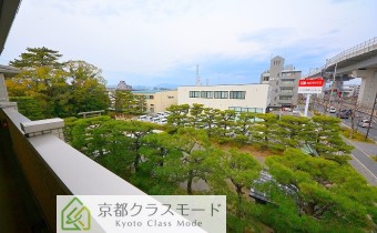 廊下からの眺望