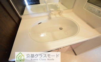 シャンプードレッサー　※写真は反転タイプです。