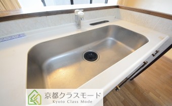 シャワー水柱付き　※写真は反転タイプです。