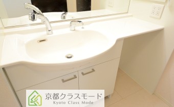 シャンプードレッサー