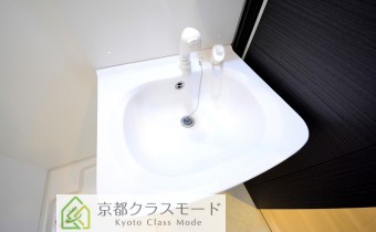 シャンプードレッサー