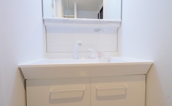 シャンプードレッサー