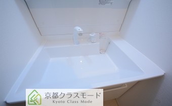 シャンプードレッサー