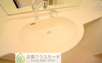 シャンプードレッサー