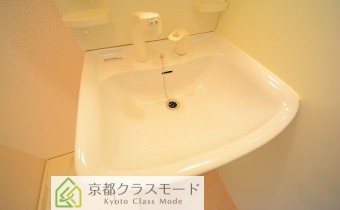 シャンプードレッサー
