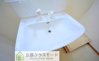 シャンプードレッサー
