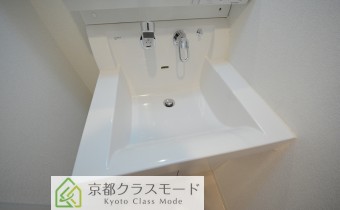 シャンプードレッサー