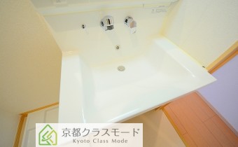 シャンプードレッサー