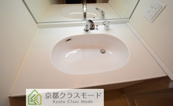 シャンプードレッサー
