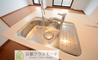 シャワー水柱＆浄水器付き