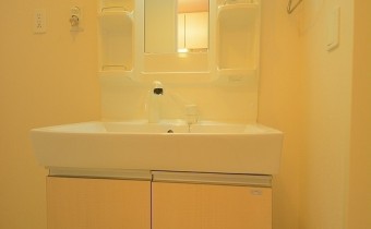 シャンプードレッサー