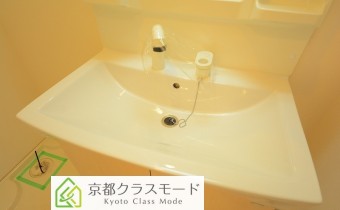 シャンプードレッサー