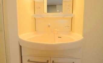シャンプードレッサー