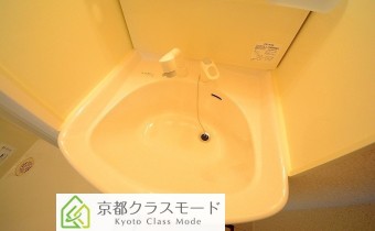 シャンプードレッサー