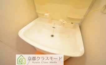 シャンプードレッサー