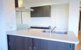 カウンター　※室内写真は同マンション内の別タイプのものです。