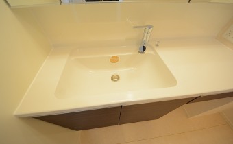 シャンプードレッサー