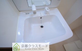 シャンプードレッサー