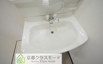 シャンプードレッサー