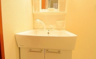 シャンプードレッサー