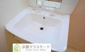 シャンプードレッサー