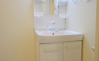 シャンプードレッサー