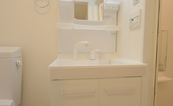 シャンプードレッサー