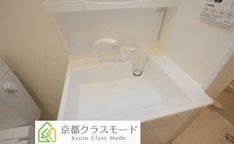 シャンプードレッサー