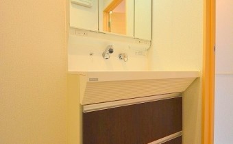 シャンプードレッサー