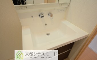 シャンプードレッサー