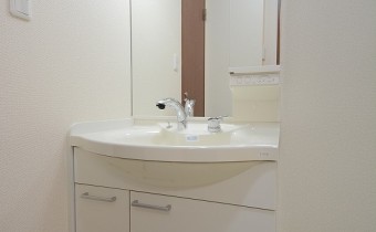シャンプードレッサー