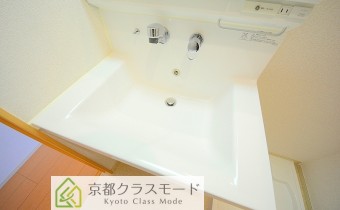 シャンプードレッサー