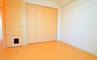 Room6.1