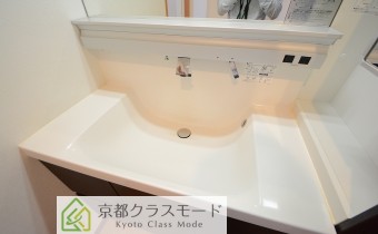 シャンプードレッサー
