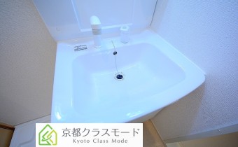 シャンプードレッサー