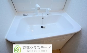 シャンプードレッサー
