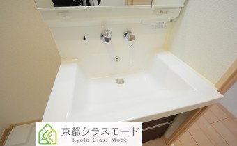 シャンプードレッサー