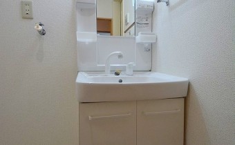 シャンプードレッサー