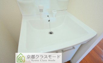 シャンプードレッサー