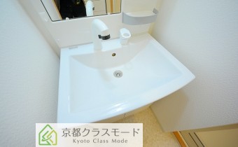 シャンプードレッサー