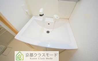シャンプードレッサー