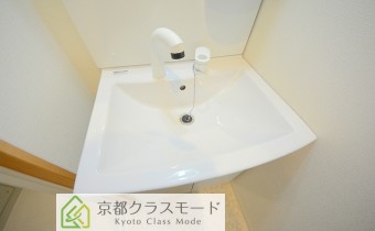 シャンプードレッサー