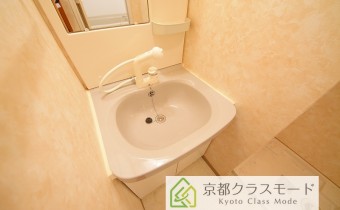 シャンプードレッサー